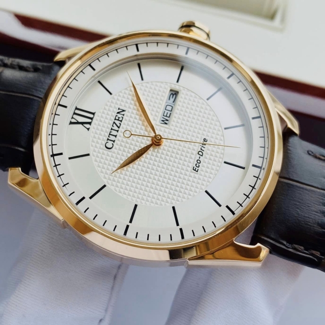 ĐỒNG HỒ NAM CITIZEN ECO-DRIVE AW0082-19A