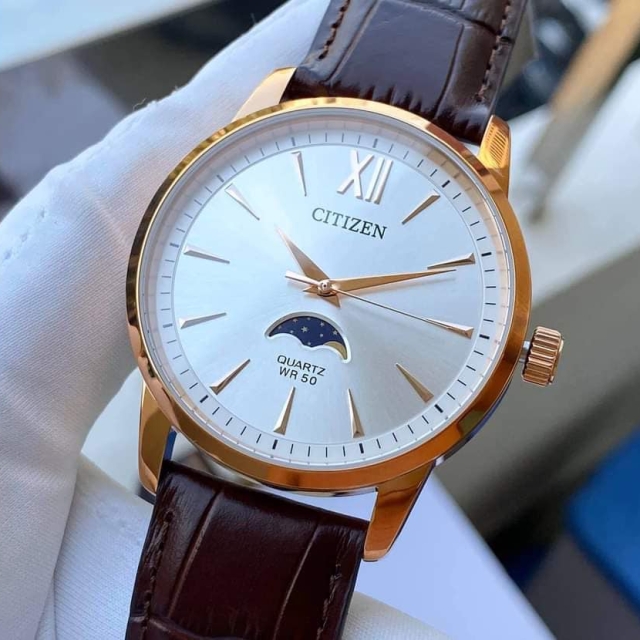 ĐỒNG HỒ NAM CITIZEN QUARTZ AK5003-05A