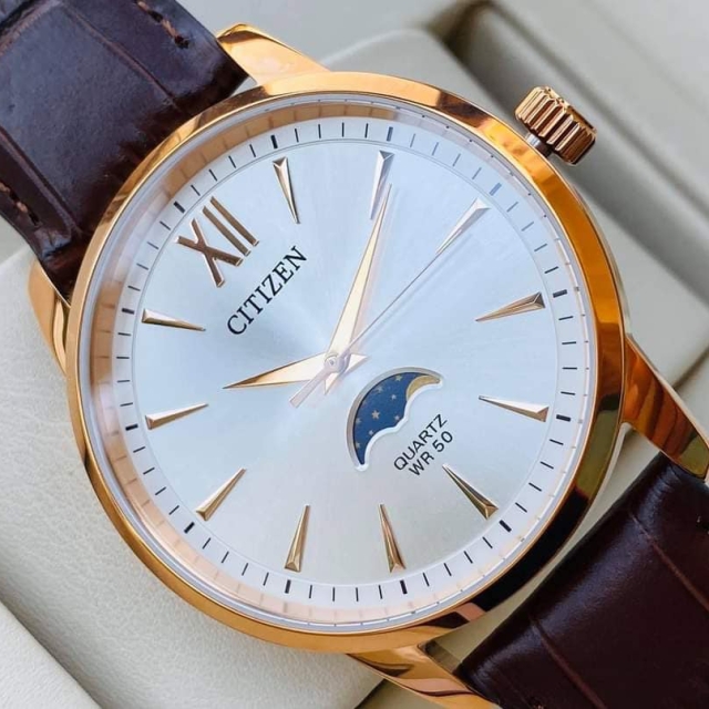 ĐỒNG HỒ NAM CITIZEN QUARTZ AK5003-05A